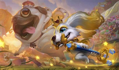 fizz dog skin.